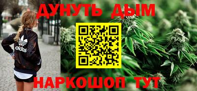 дмт Дубна