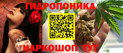 крисы Донской