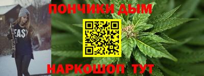 дмт Дубна