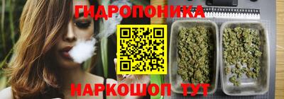 крисы Донской