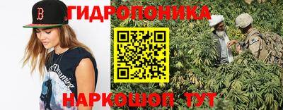 дмт Дубна