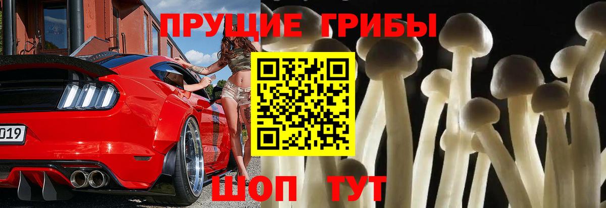 Лесной  Галлюциногенные грибы Magic Shrooms  Вход с VPN 