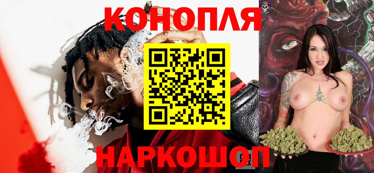 Каннабис OG Kush Лесной